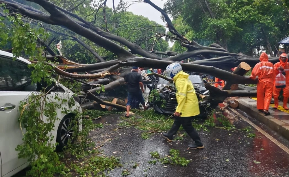 Tampak sejumlah mobil tertimpa pohon tumbang di Kebayoran Baru, Jaksel, Kamis (30/10/2025). [X @TMCpoldametro]